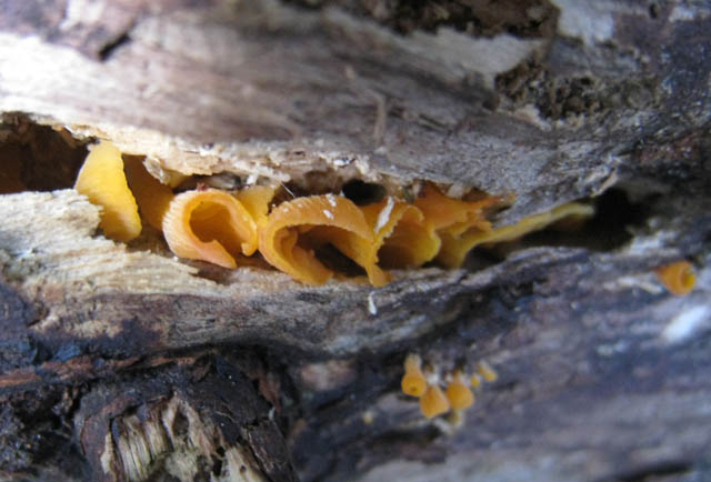 Ritrovamenti di fine settembre