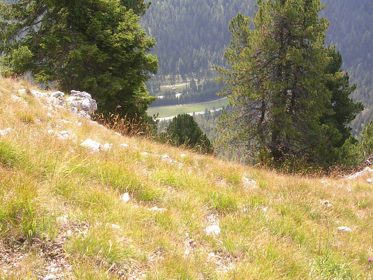 Zuoghe (2053 m)