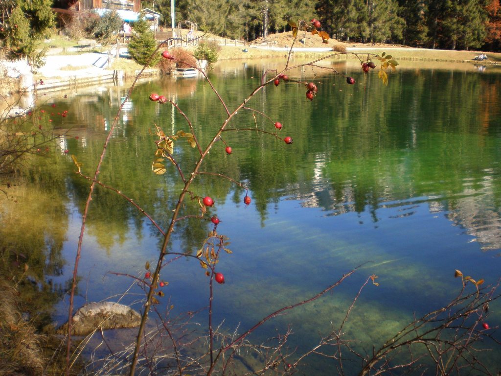 Laghi ......del VENETO