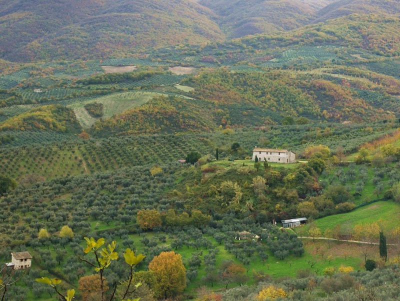Sabina sublime-Dettagli d''autunno