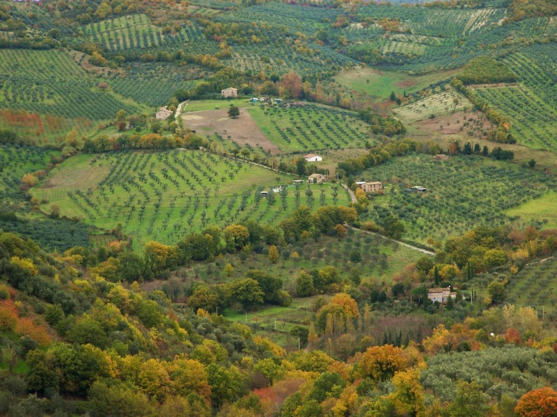Sabina sublime-Dettagli d''autunno