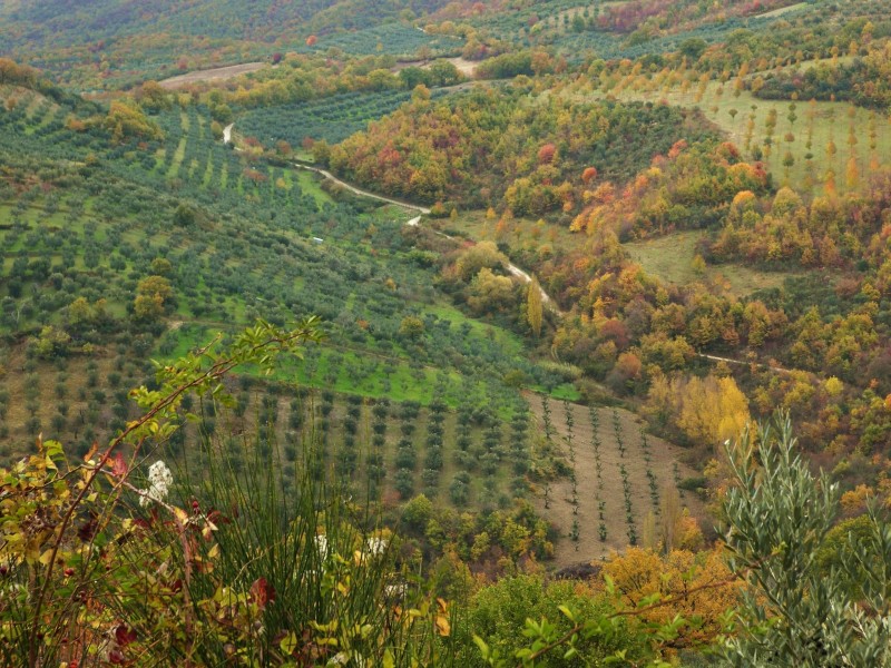 Sabina sublime-Dettagli d''autunno