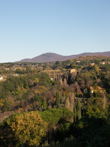 I Colli Lanuvini
