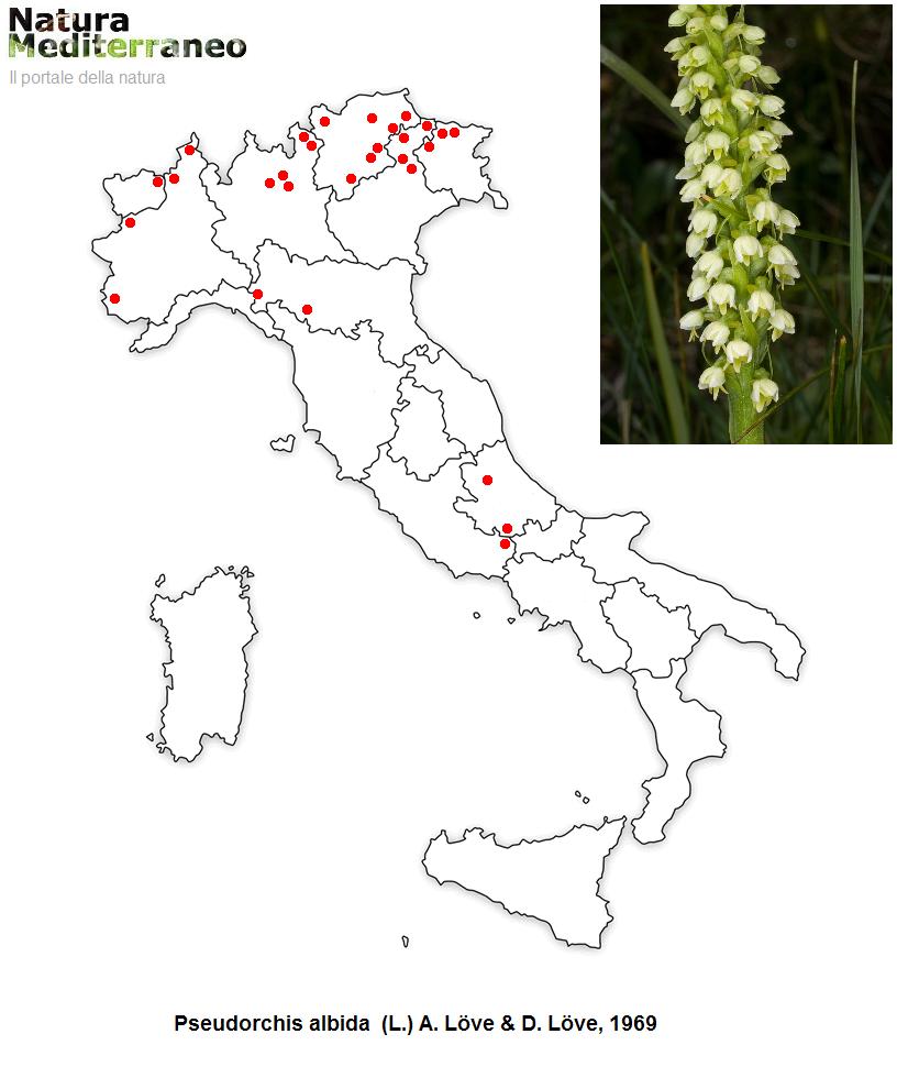 MAPPE DI DISTRIBUZIONE ORCHIDEE SPONTANEE - Prima parte