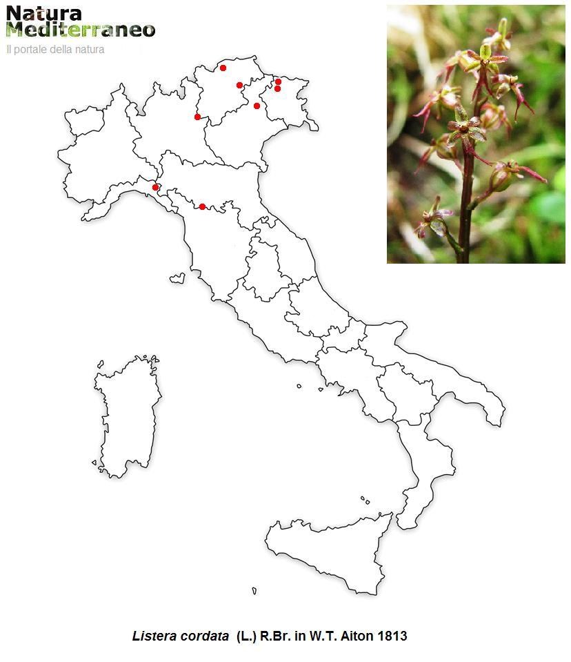 MAPPE DI DISTRIBUZIONE ORCHIDEE SPONTANEE - Prima parte