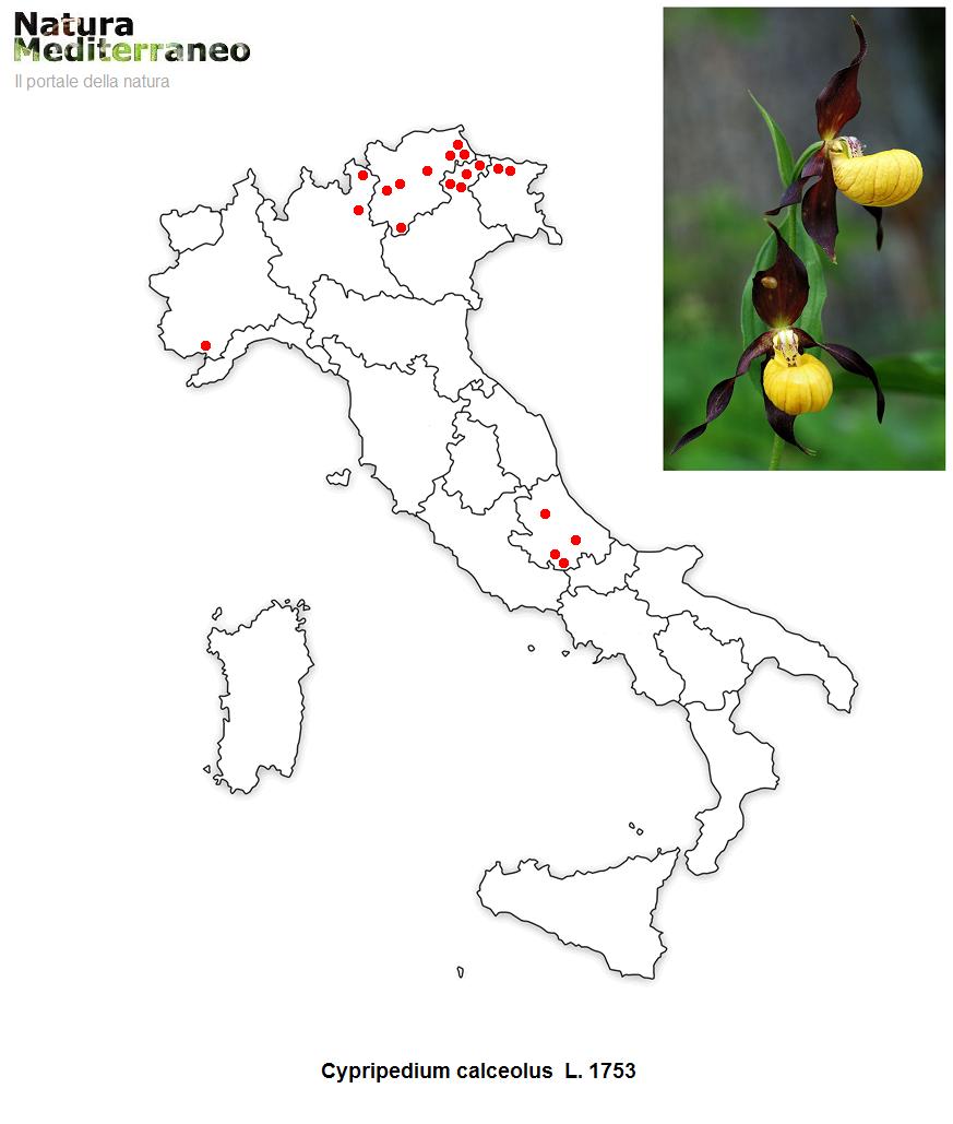 MAPPE DI DISTRIBUZIONE ORCHIDEE SPONTANEE - Prima parte