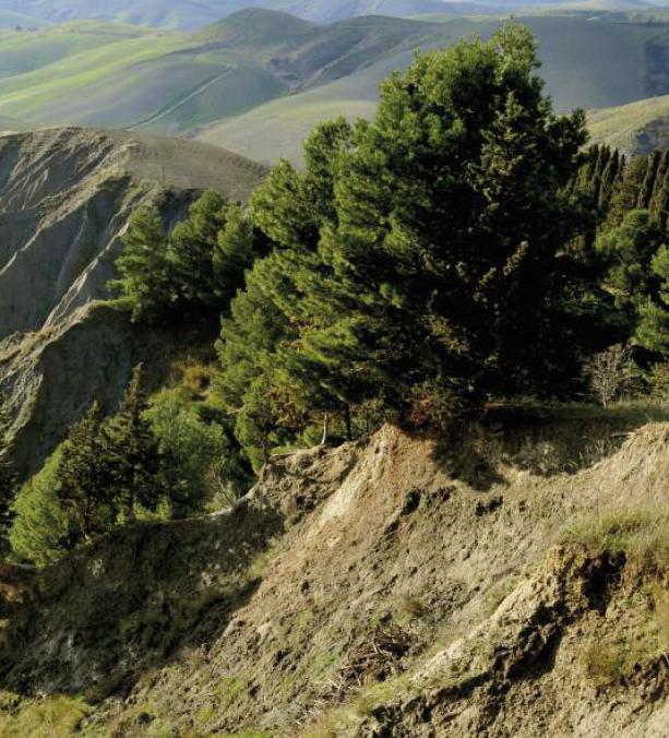 Calanchi: le foto pi� belle