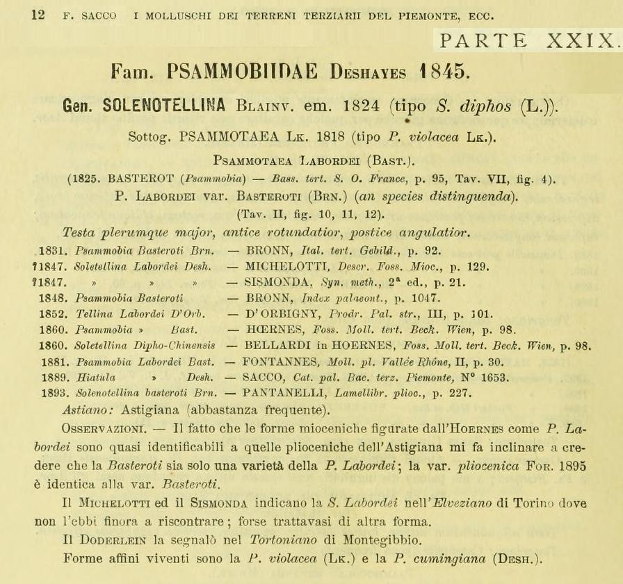 Gari labordei (Basterot, 1825)  Pliocene - Spicchio