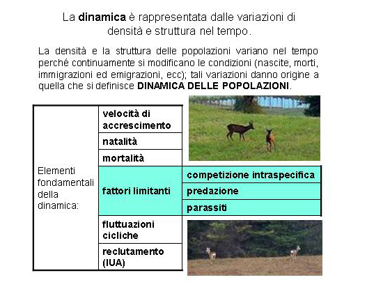 Metodologie di censimento