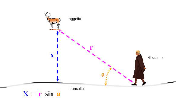 Metodologie di censimento