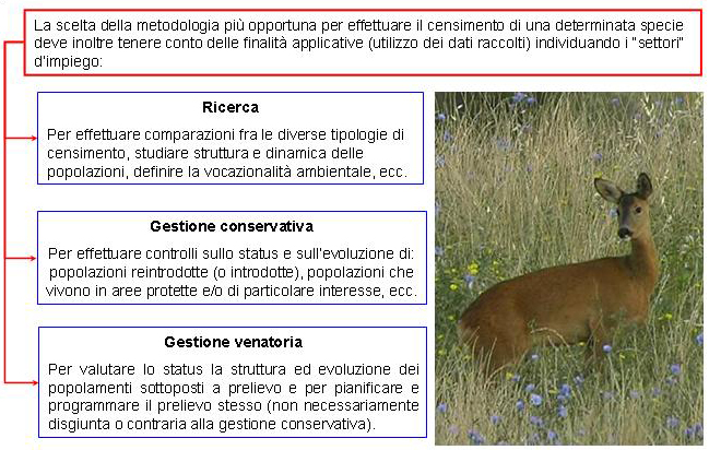 Metodologie di censimento