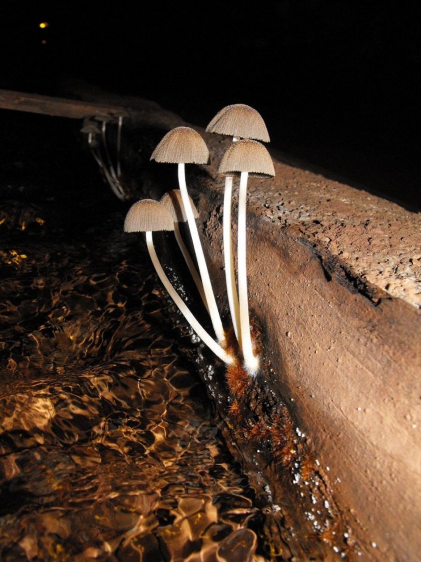 Miniera di Gambatesa1