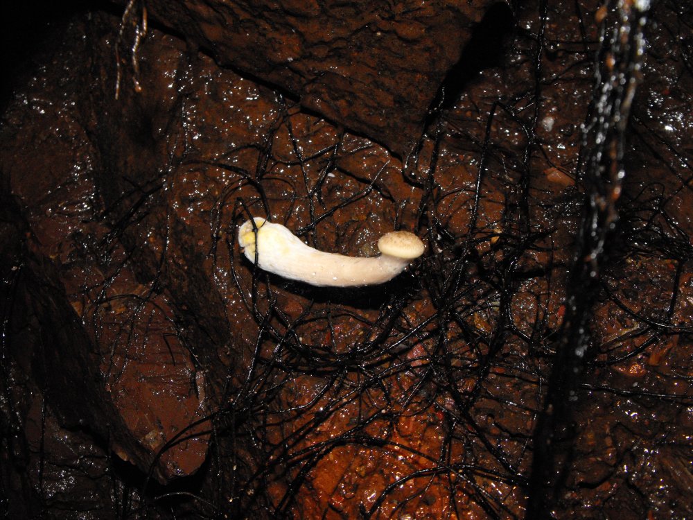 Miniera di Gambatesa5