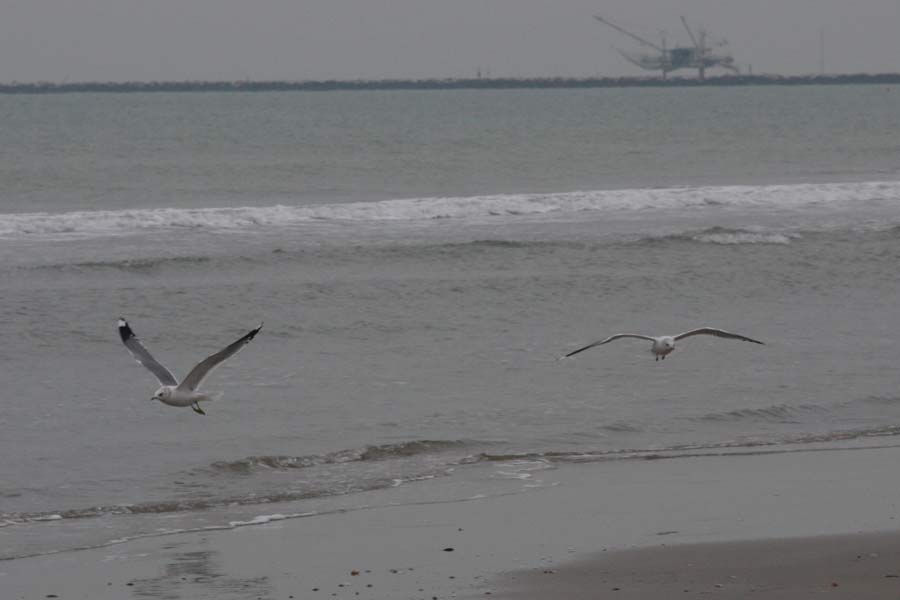 sulla spiaggia invernale