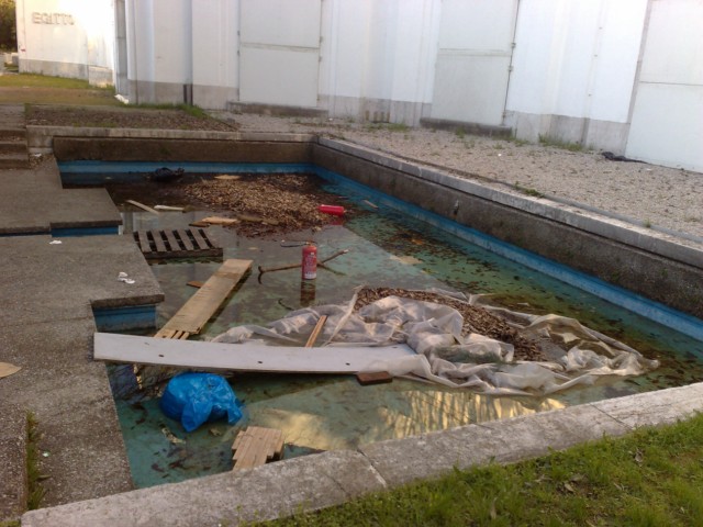 strage rospi smeraldini