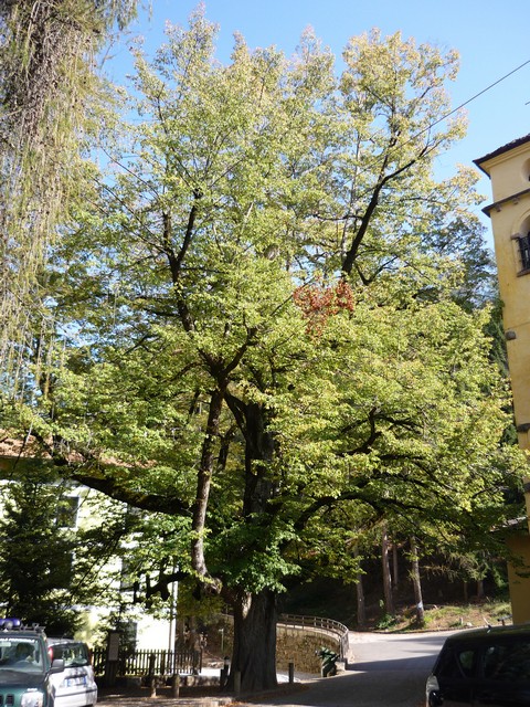 Santuario Madonna dell''Aiuto