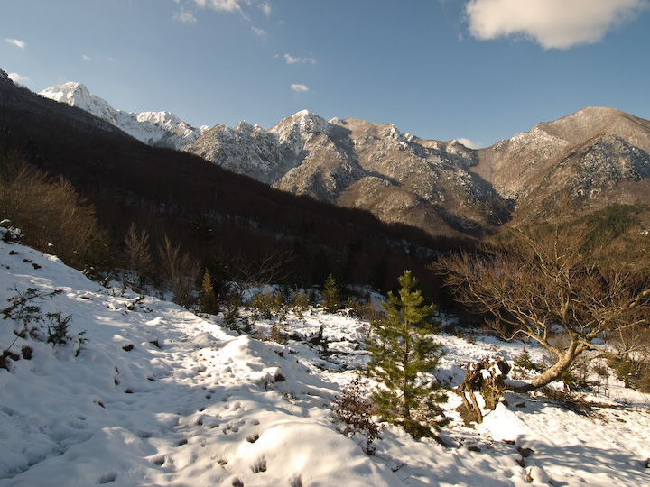 Camosciare, Cervi e Lupi