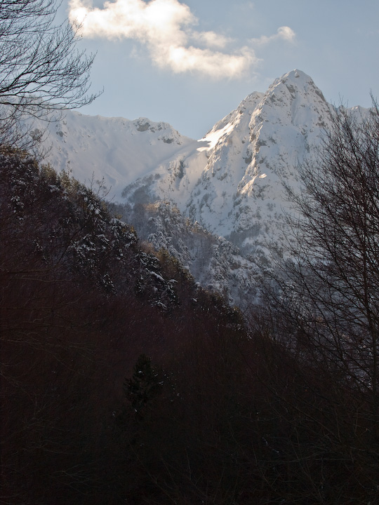 Camosciare, Cervi e Lupi