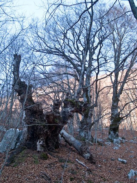 Valle Jannanghera