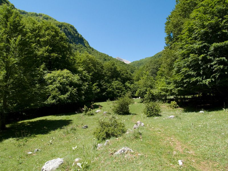 Valle Jannanghera in primavera