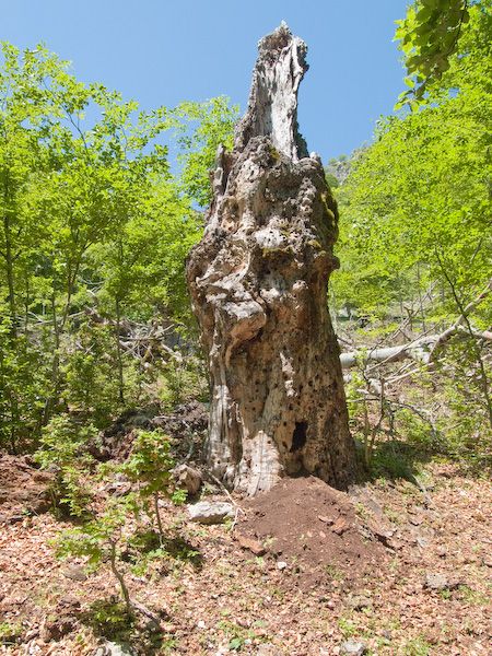 Valle Jannanghera in primavera