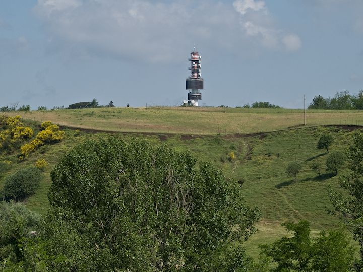 Inanellamento pulli di Falco pellegrino