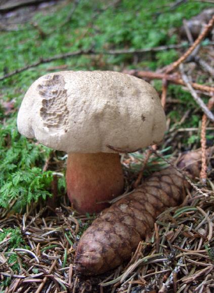 Escursione 11/08/2009