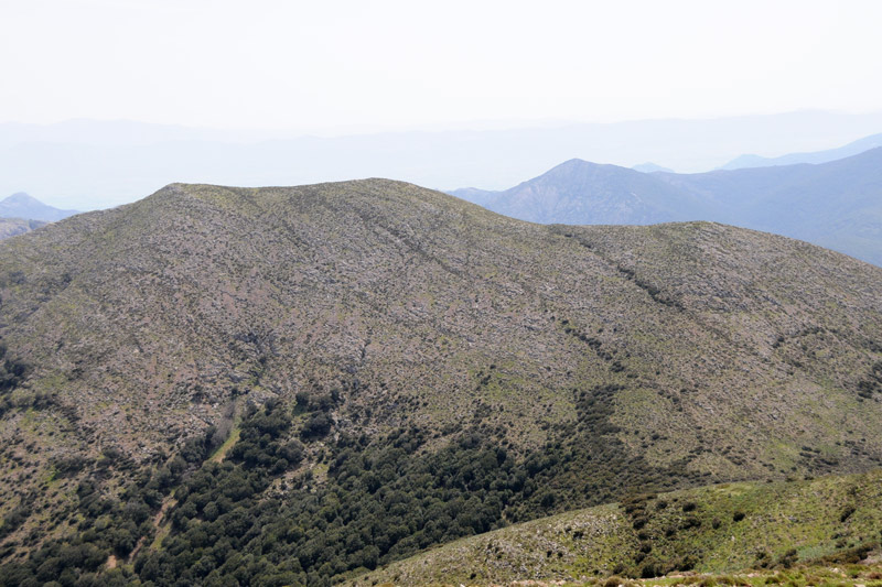 Monte Linas (Punta Cammedda)