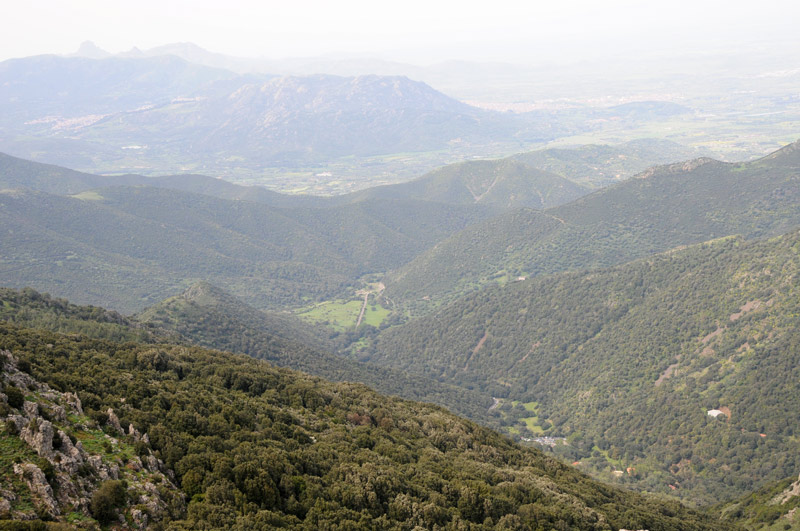 Monte Linas (Punta Cammedda)