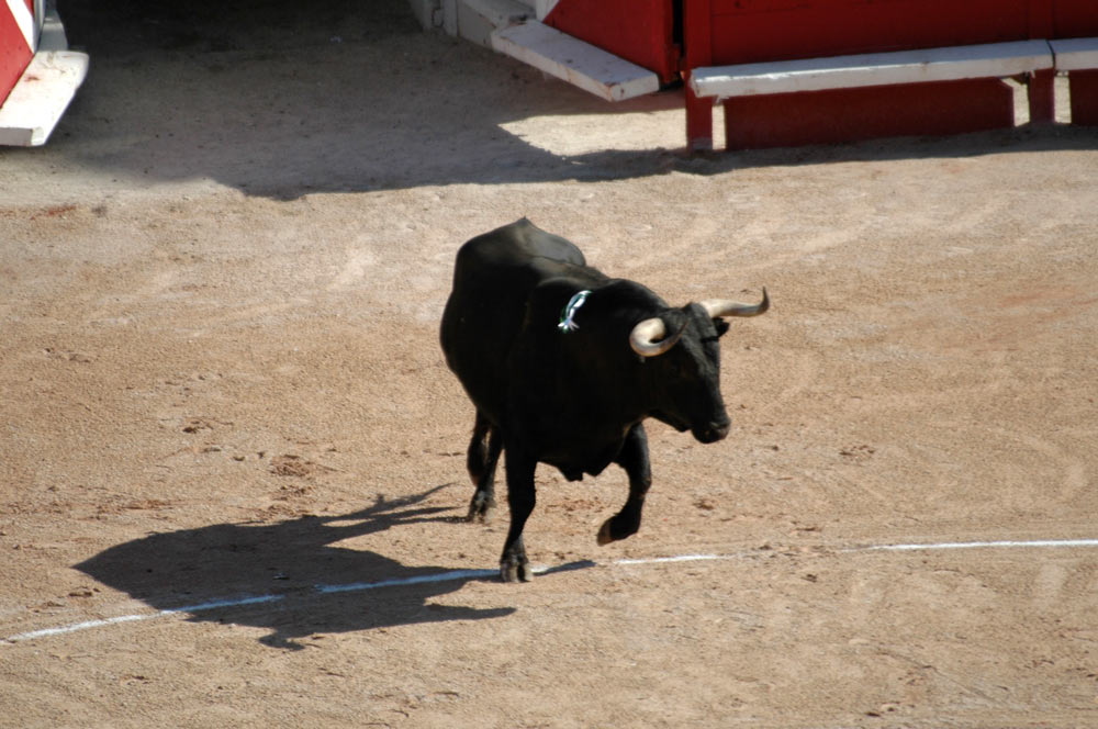 La Feria di Arles