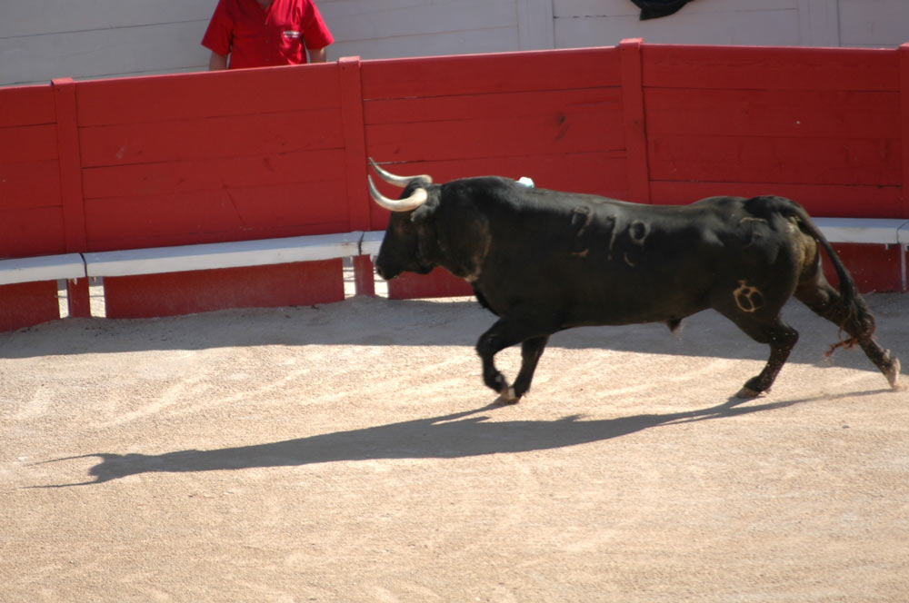 La Feria di Arles