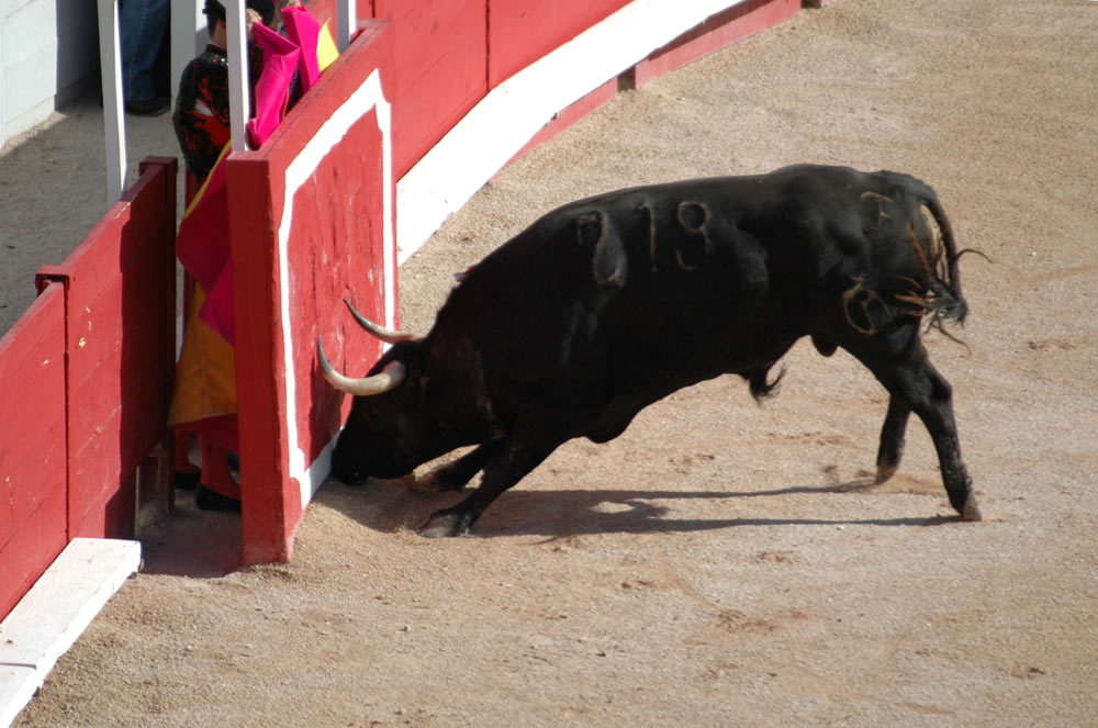 La Feria di Arles