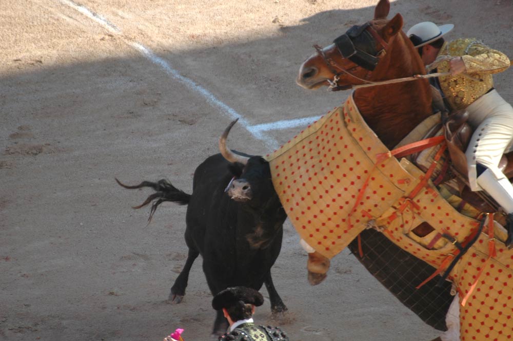 La Feria di Arles