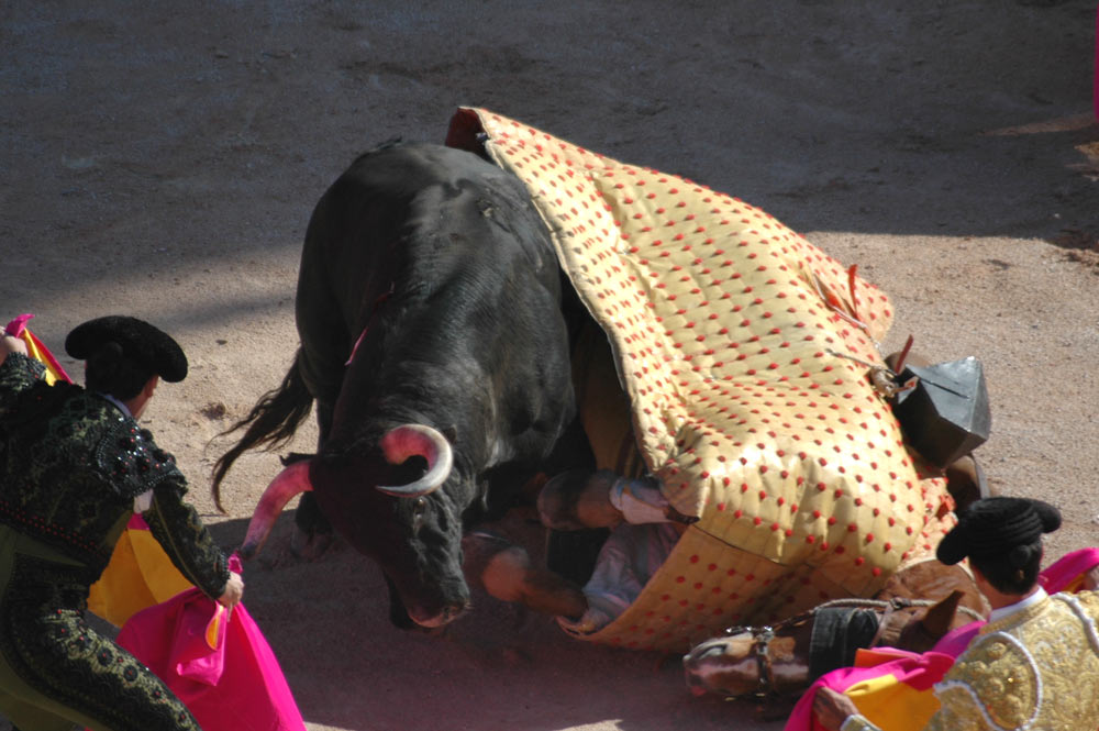 La Feria di Arles