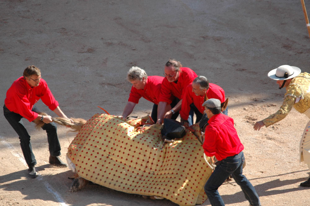 La Feria di Arles