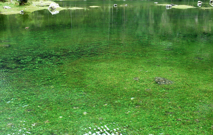 Il lago di Gosau