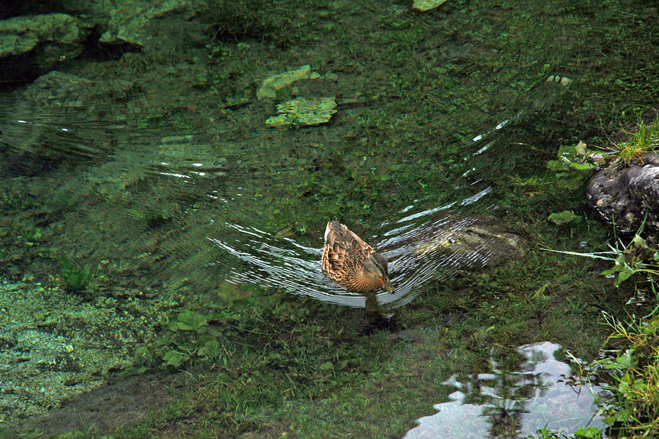 Il lago di Gosau