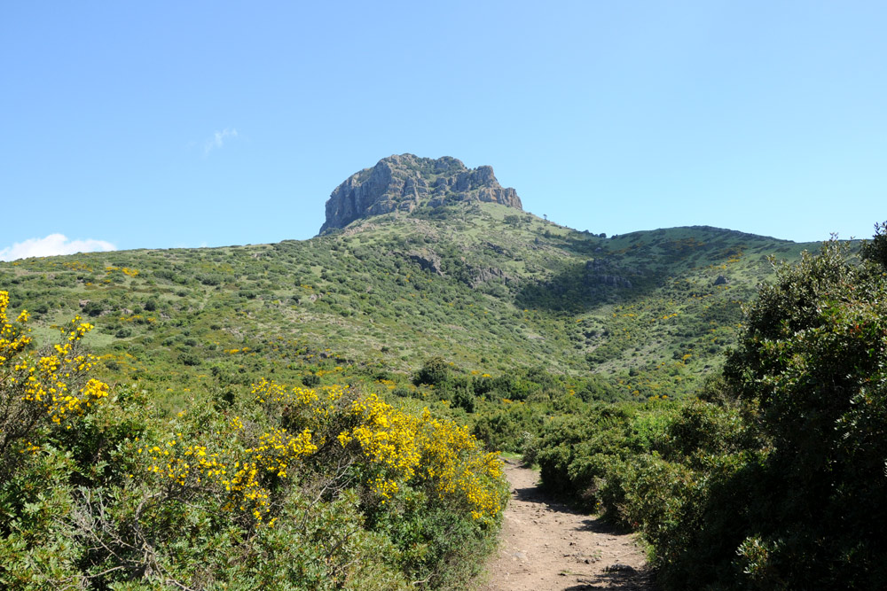 Monte Arcuentu