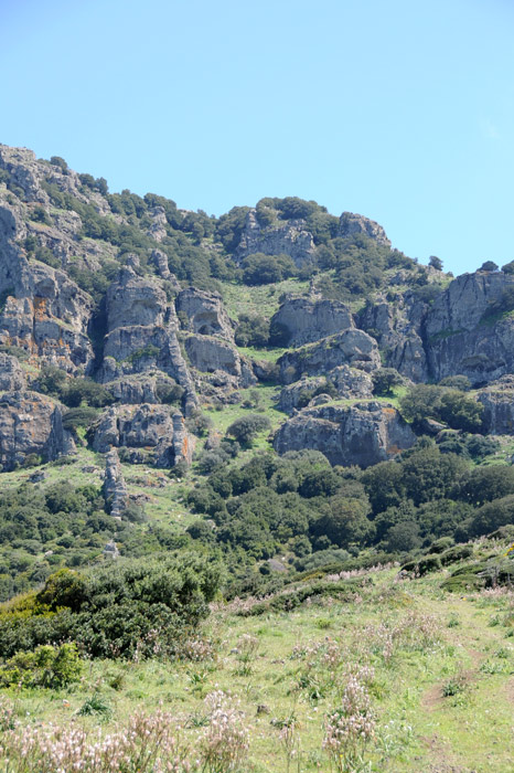 Monte Arcuentu