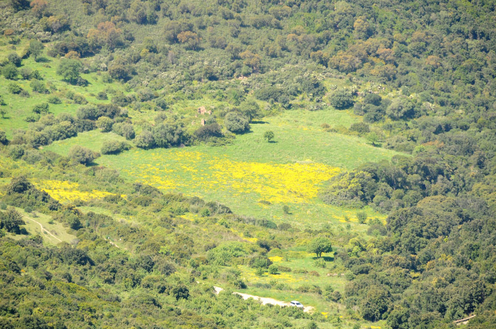 Monte Arcuentu