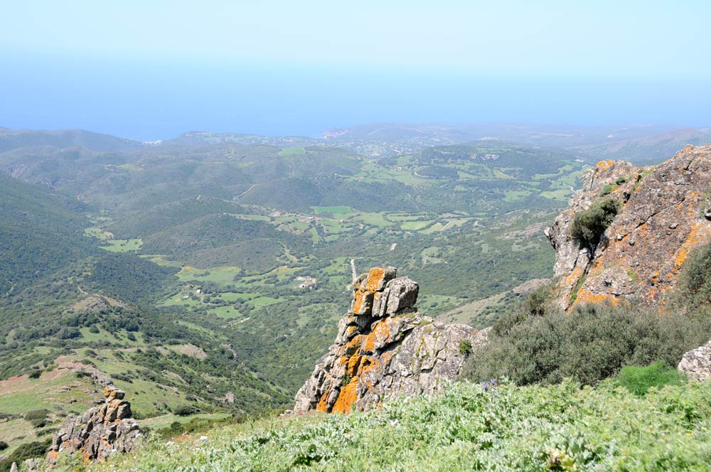 Monte Arcuentu