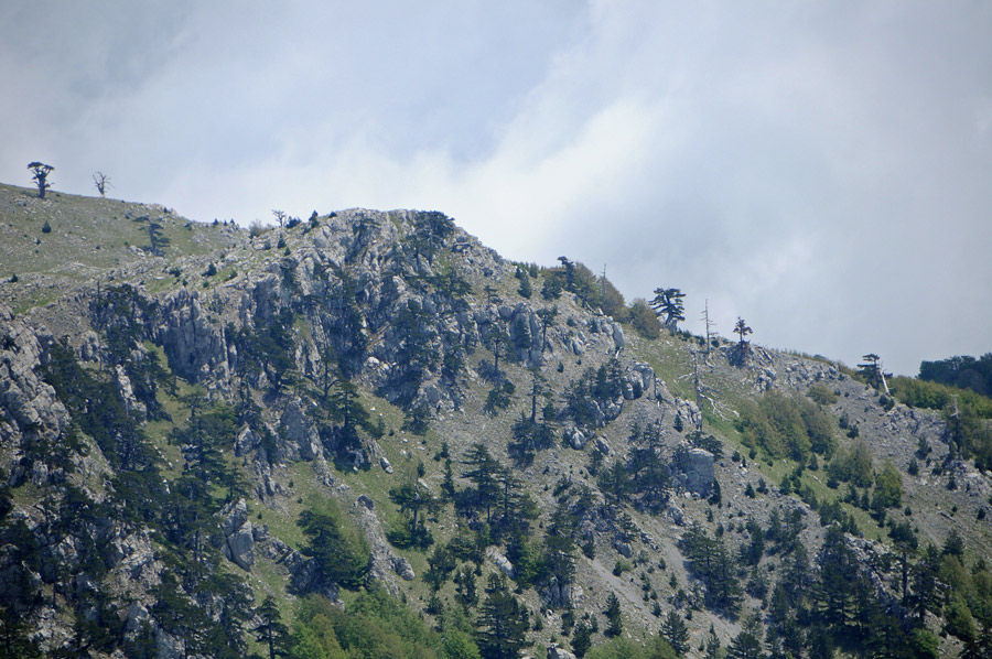 Itinerari nel Massiccio del Pollino