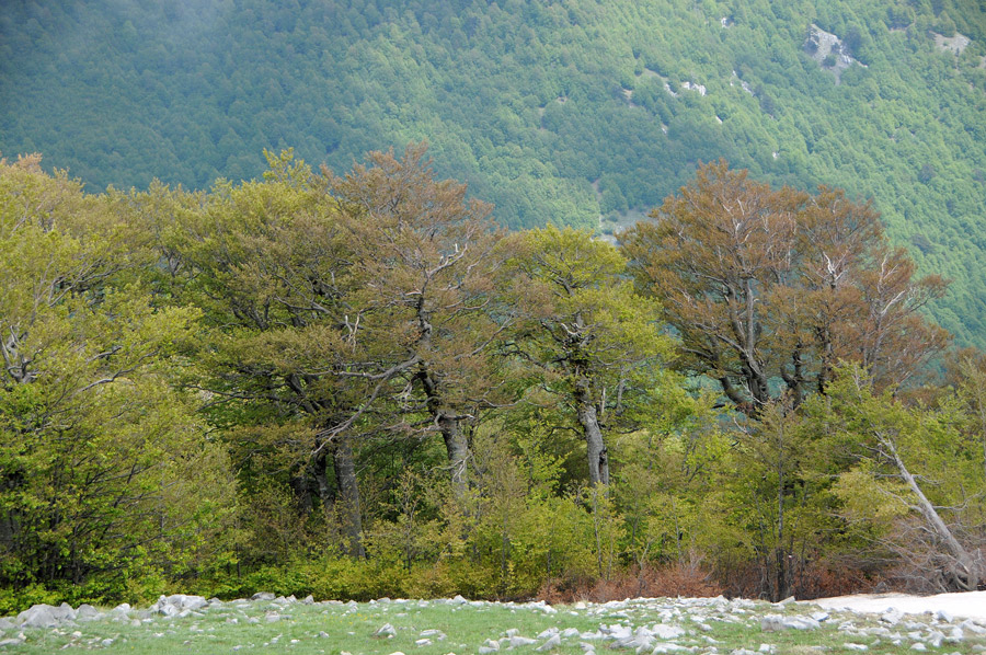 Itinerari nel Massiccio del Pollino