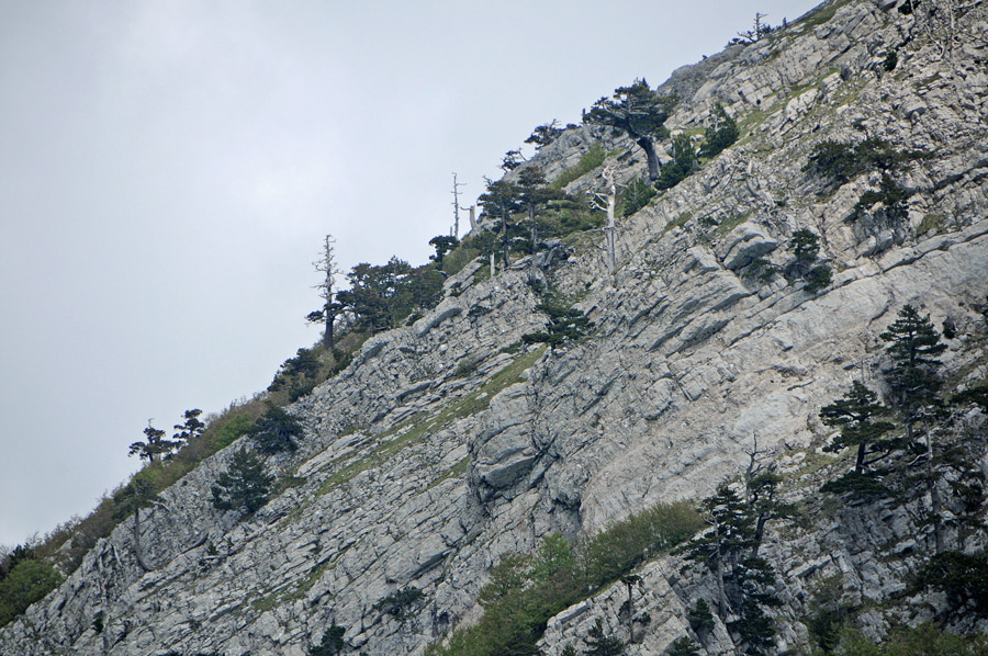 Itinerari nel Massiccio del Pollino