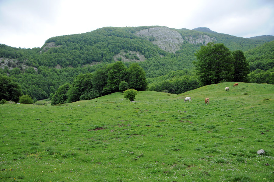 Itinerari nel Massiccio del Pollino