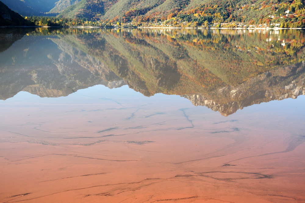 Il Lago di Ledro e l'' arrossamento da Planktothrix rub.