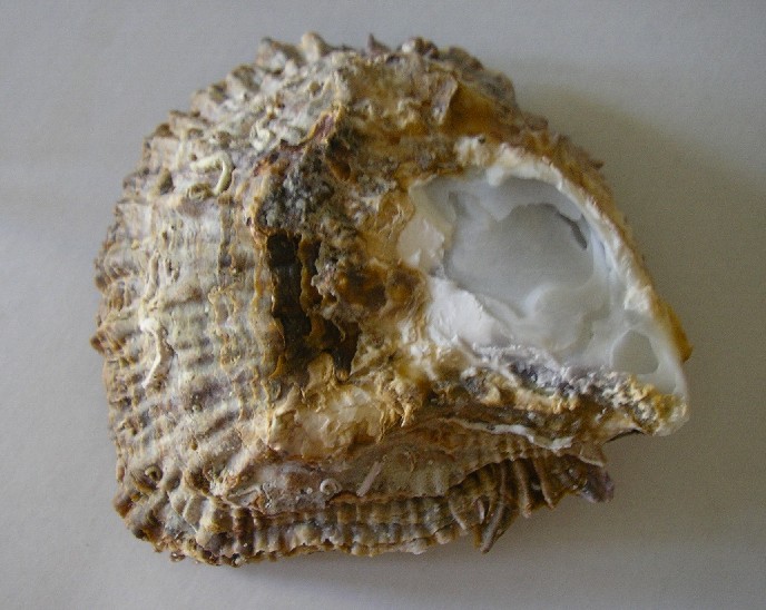 dalla Sardegna ... 3