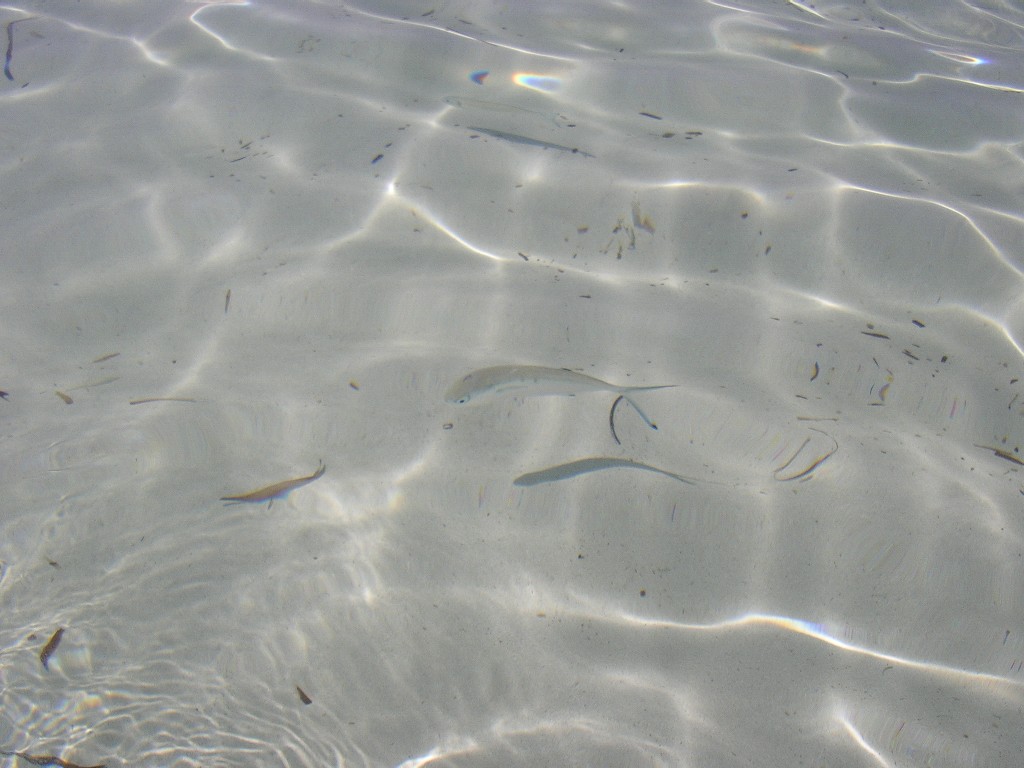 Lampedusa ... un posto dove vorrei ritornare ..