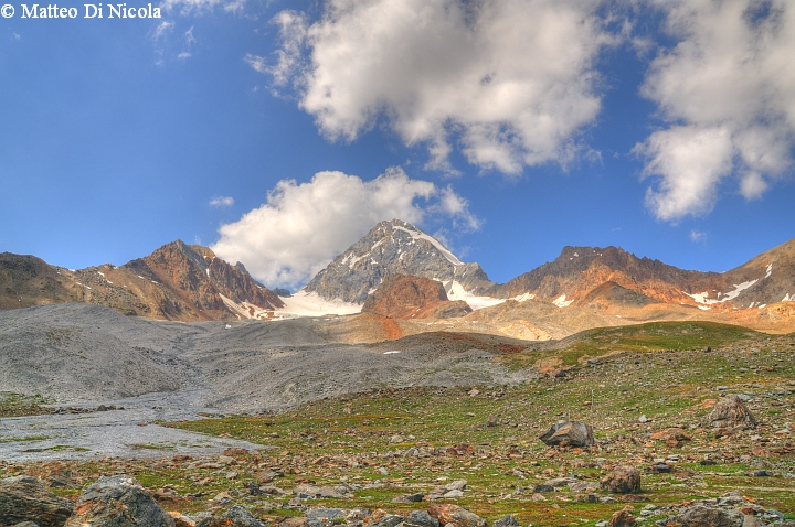 un po'' di flora dal Gavia