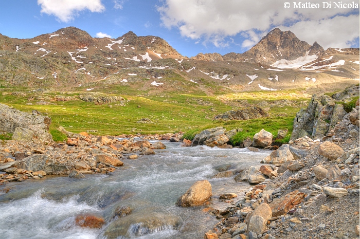 un po'' di flora dal Gavia